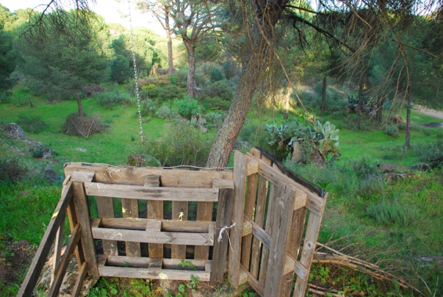 Atalaya